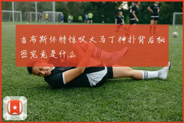 吉布斯怀特惊叹大马丁神扑背后秘密究竟是什么